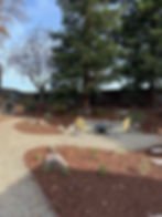 Backyard Makeover  (12)