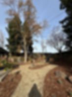 Backyard Makeover  (8)